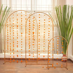 The Celebration Arch Set | 3-Piece Festive Backdrop Styling Kit